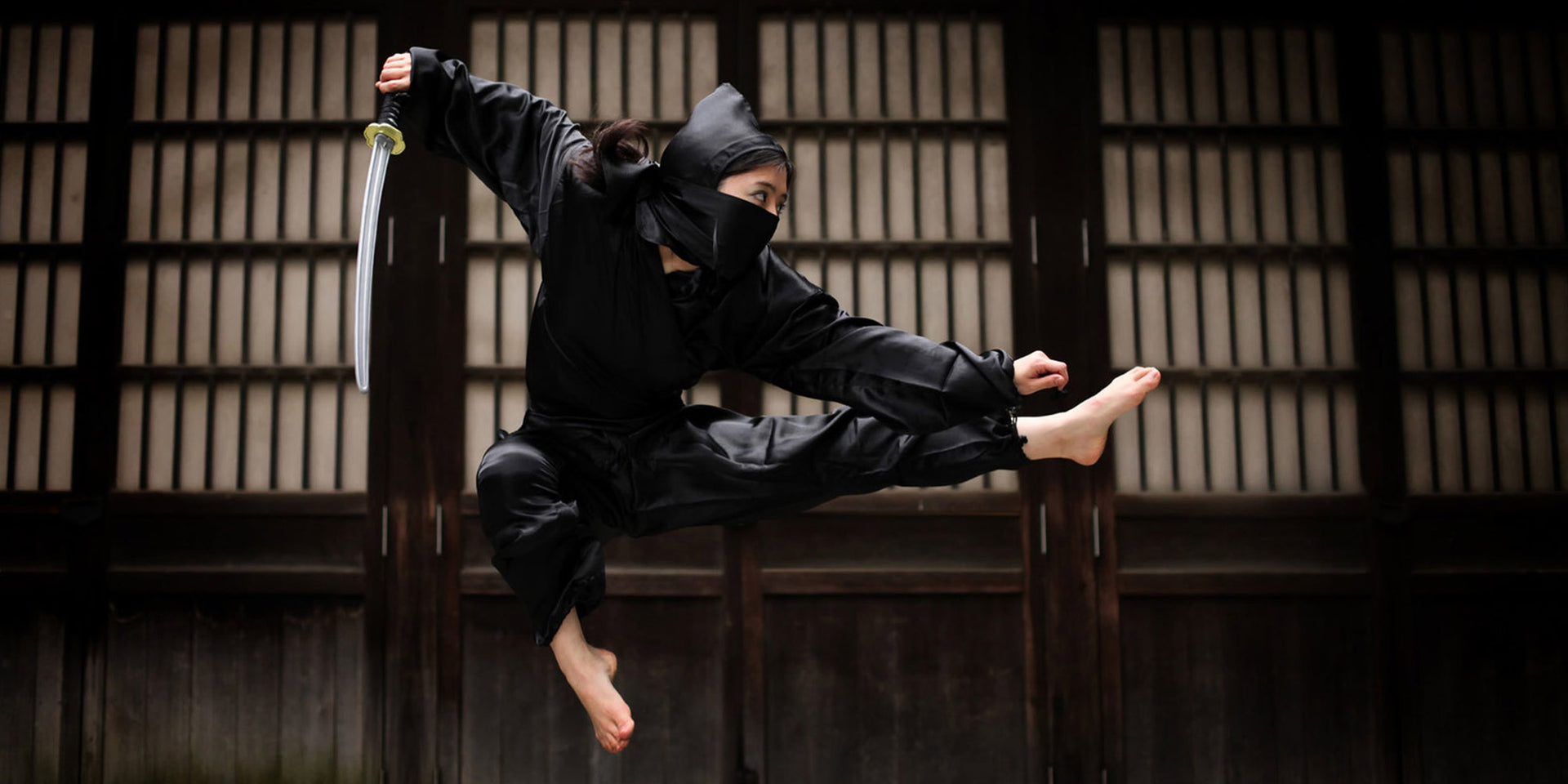 ninjutsu l'art guerrier ninja