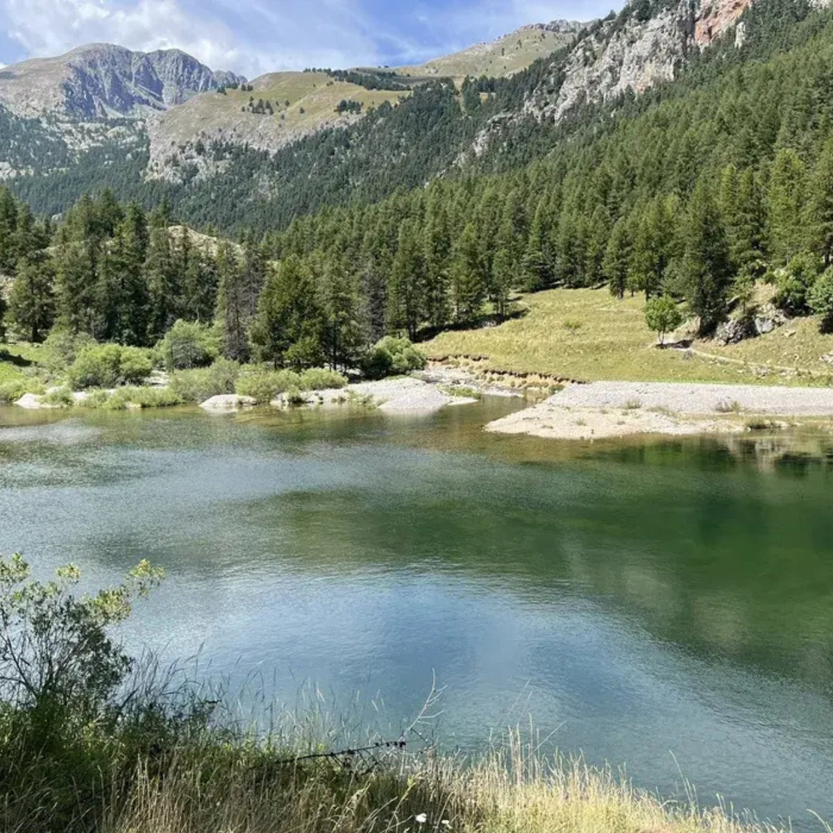 🏔️ NINSURVIE® Summer Expedition