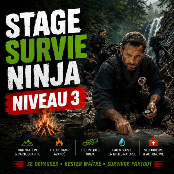 NIVEAU 3 | Stage Survie Ninja